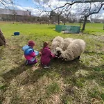 Pferdepension Jaeger Çiftlik konaklama