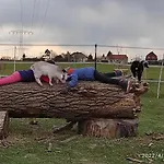 Pferdepension Jaeger Markranstädt