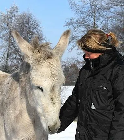 Pferdepension Jaeger Фермерский дом *