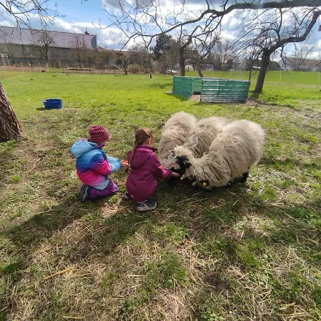 Pferdepension Jaeger Фермерский дом