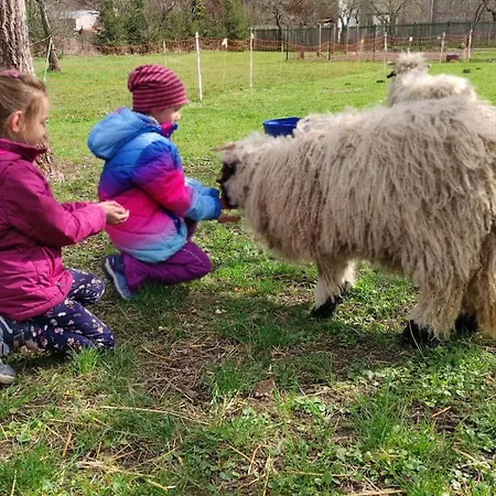 Pferdepension Jaeger * Маркранштедт