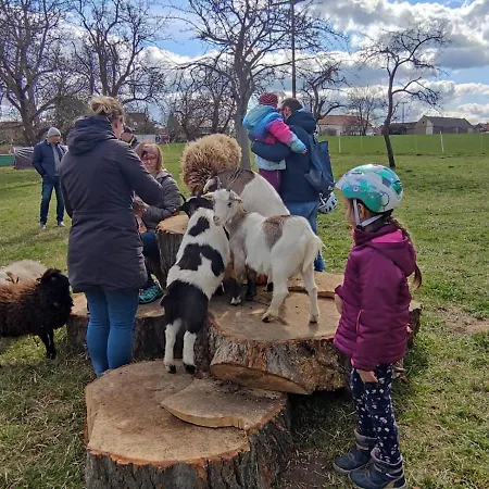 Фермерский дом Pferdepension Jaeger