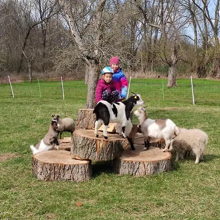 Pferdepension Jaeger