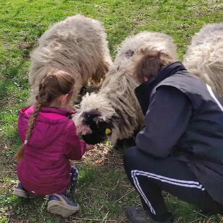 Pferdepension Jaeger Фермерский дом *