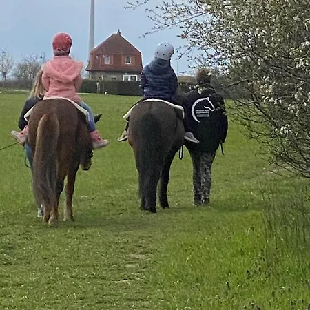Pferdehof Jäger *