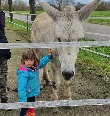 Pferdepension Jaeger