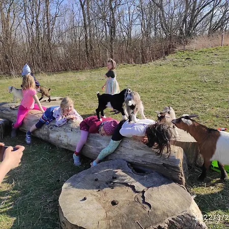 Фермерский дом Pferdepension Jaeger *