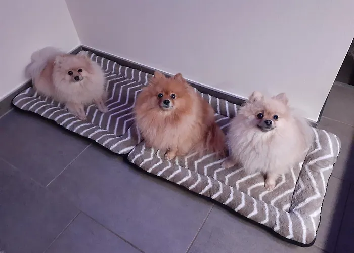 Pferdepension Jaeger Markranstaedt