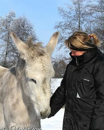 Pferdepension Jaeger Farm stay *