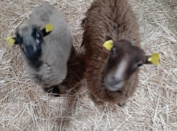 Farmház Pferdepension Jaeger *