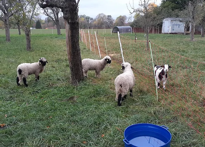 Farm stay Pferdepension Jaeger *