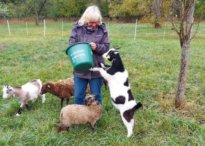 Farm stay Pferdepension Jaeger Markranstaedt