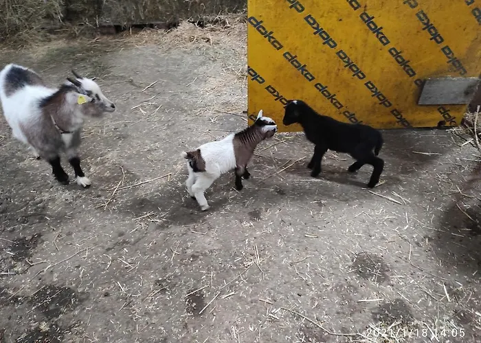 Pferdepension Jaeger Markranstaedt