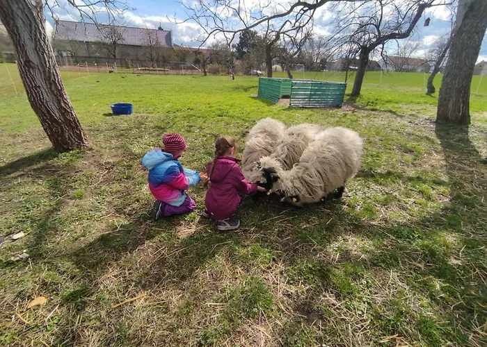 Pferdepension Jaeger Farm stay