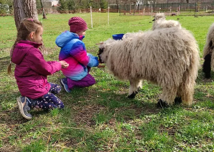Pferdepension Jaeger * Markranstaedt