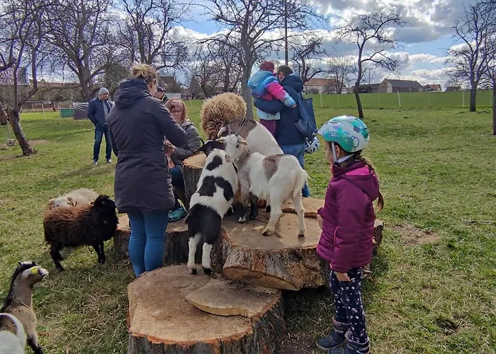 Farm stay Pferdepension Jaeger