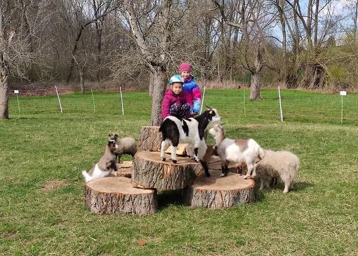 Pferdepension Jaeger