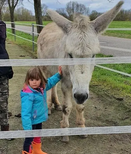 Pferdepension Jaeger