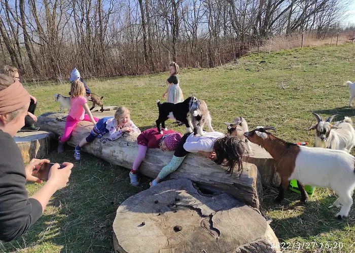 Farm stay Pferdepension Jaeger *