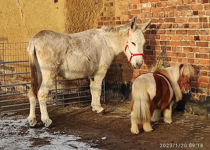 Farm stay Pferdepension Jaeger